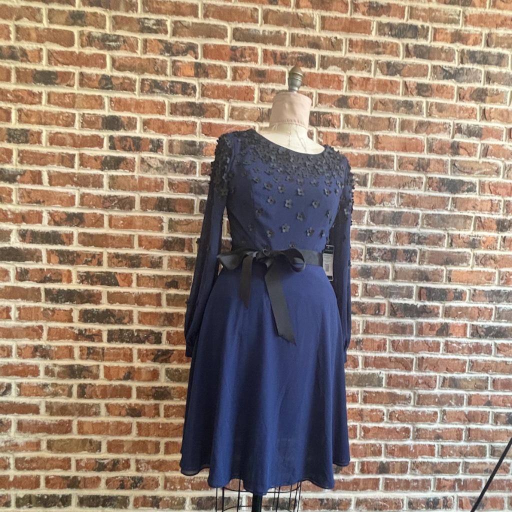 Appliqu Georgette Fit & Flare Dress